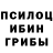 Псилоцибиновые грибы прущие грибы Kole Adventures