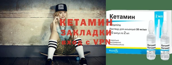 шишки Богородицк