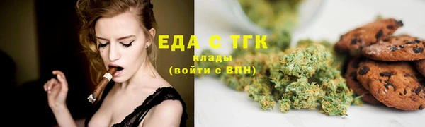 шишки Богородицк