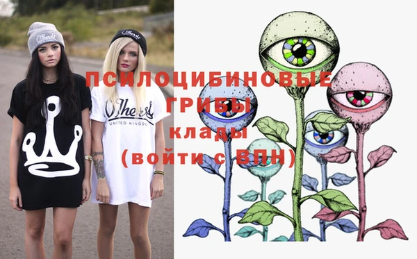 кокс Бородино