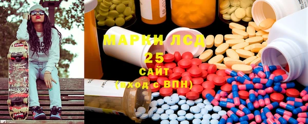 шишки Богородицк